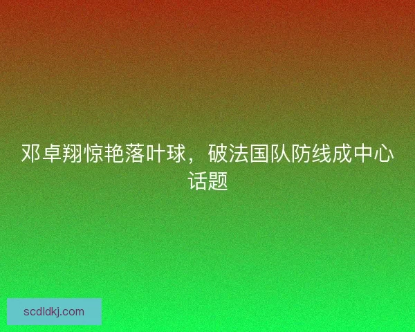 邓卓翔惊艳落叶球，破法国队防线成中心话题
