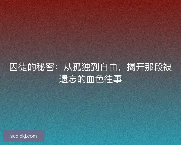 囚徒的秘密：从孤独到自由，揭开那段被遗忘的血色往事