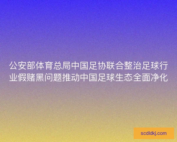 公安部体育总局中国足协联合整治足球行业假赌黑问题推动中国足球生态全面净化