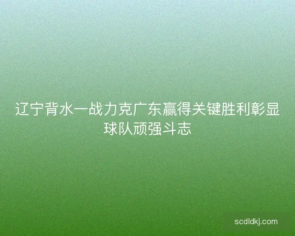 辽宁背水一战力克广东赢得关键胜利彰显球队顽强斗志