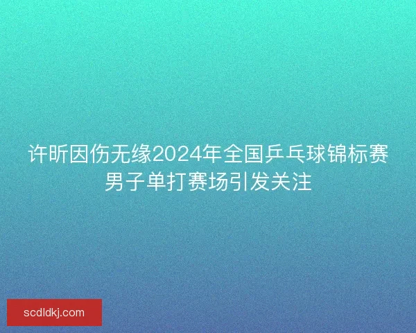 许昕因伤无缘2024年全国乒乓球锦标赛男子单打赛场引发关注