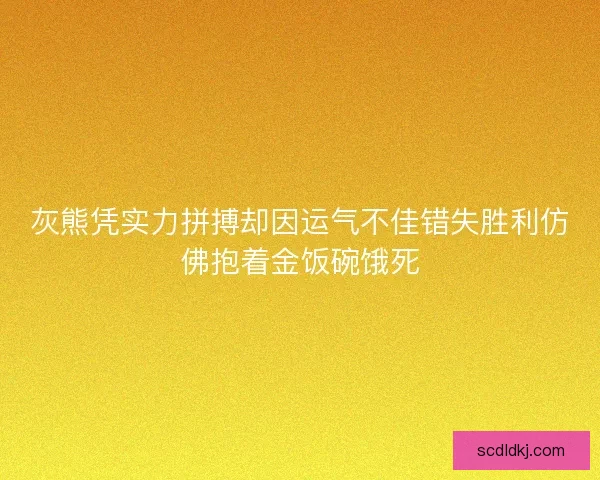 灰熊凭实力拼搏却因运气不佳错失胜利仿佛抱着金饭碗饿死