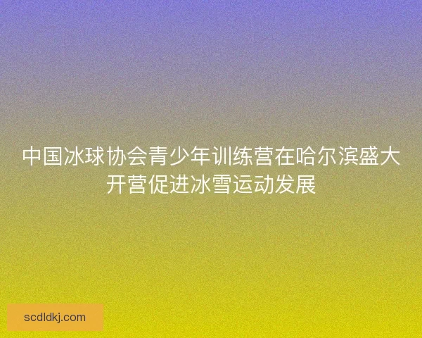 中国冰球协会青少年训练营在哈尔滨盛大开营促进冰雪运动发展