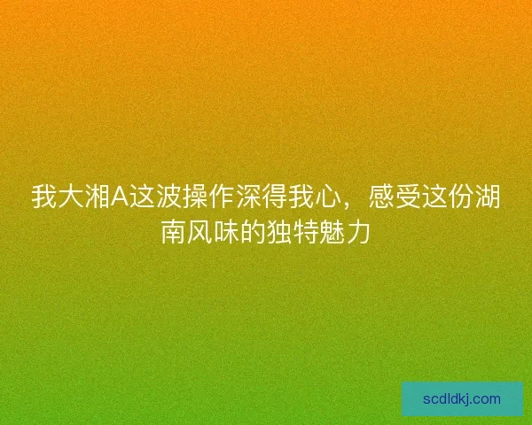 我大湘A这波操作深得我心，感受这份湖南风味的独特魅力