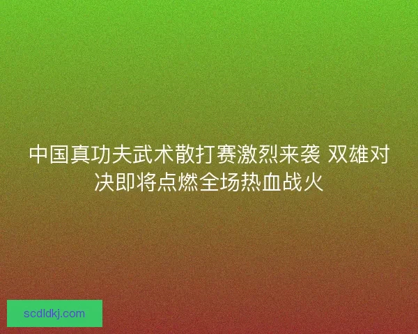中国真功夫武术散打赛激烈来袭 双雄对决即将点燃全场热血战火 中国真功夫武术散打赛激烈来袭 双雄对决即将点燃全场热血战火