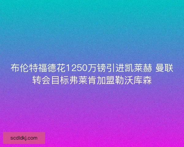 布伦特福德花1250万镑引进凯莱赫 曼联转会目标弗莱肯加盟勒沃库森 布伦特福德花1250万镑引进凯莱赫 曼联转会目标弗莱肯加盟勒沃库森