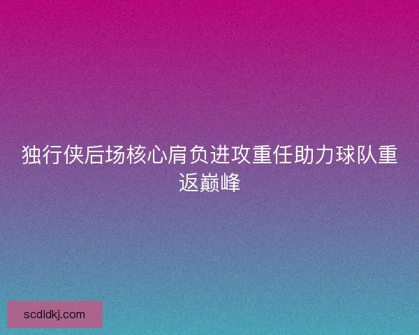 独行侠后场核心肩负进攻重任助力球队重返巅峰